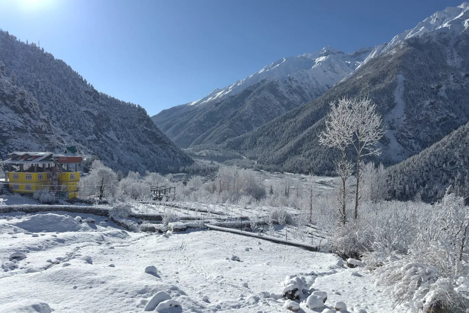 The Baspa valley at Sangla under fresh snow, trees heavy with hoarfrost
